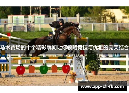 马术赛场的十个精彩瞬间让你领略竞技与优雅的完美结合