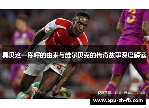 黑贝这一称呼的由来与维尔贝克的传奇故事深度解读