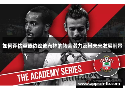 如何评估圣徒边锋迪布林的转会潜力及其未来发展前景